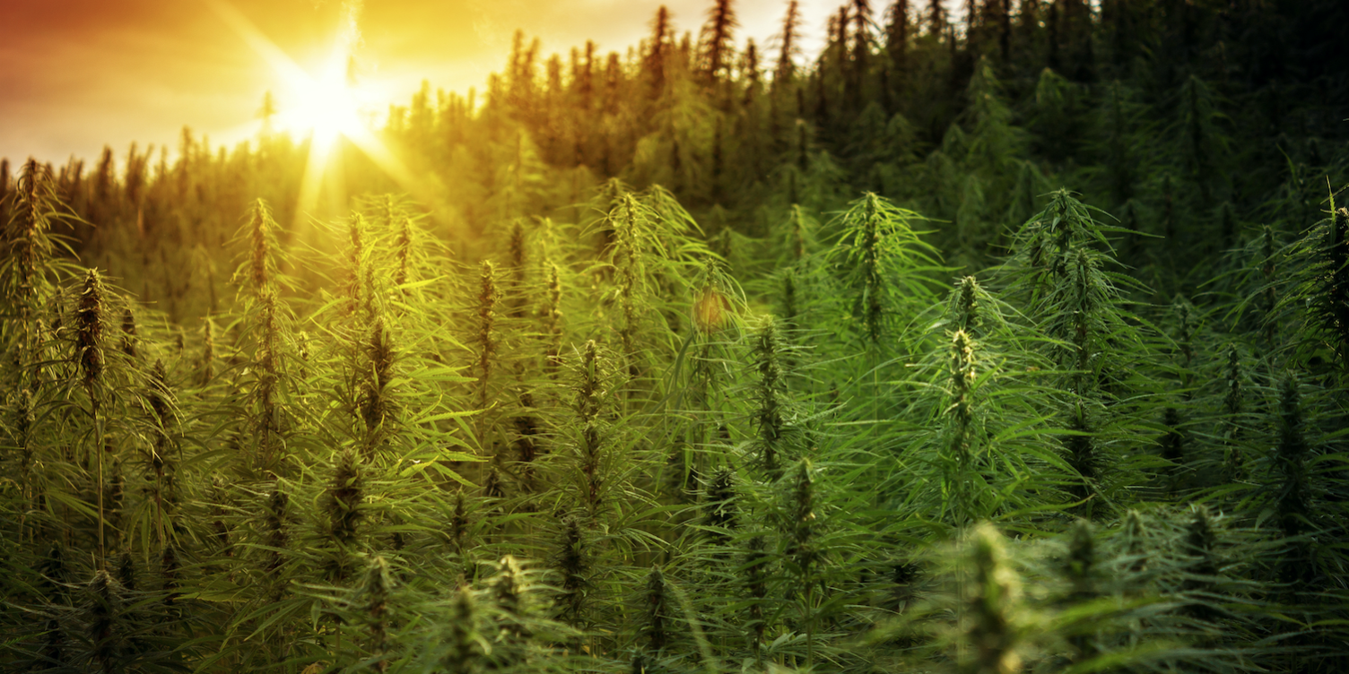 Screenshot 2021-01-26 at 12.32.52