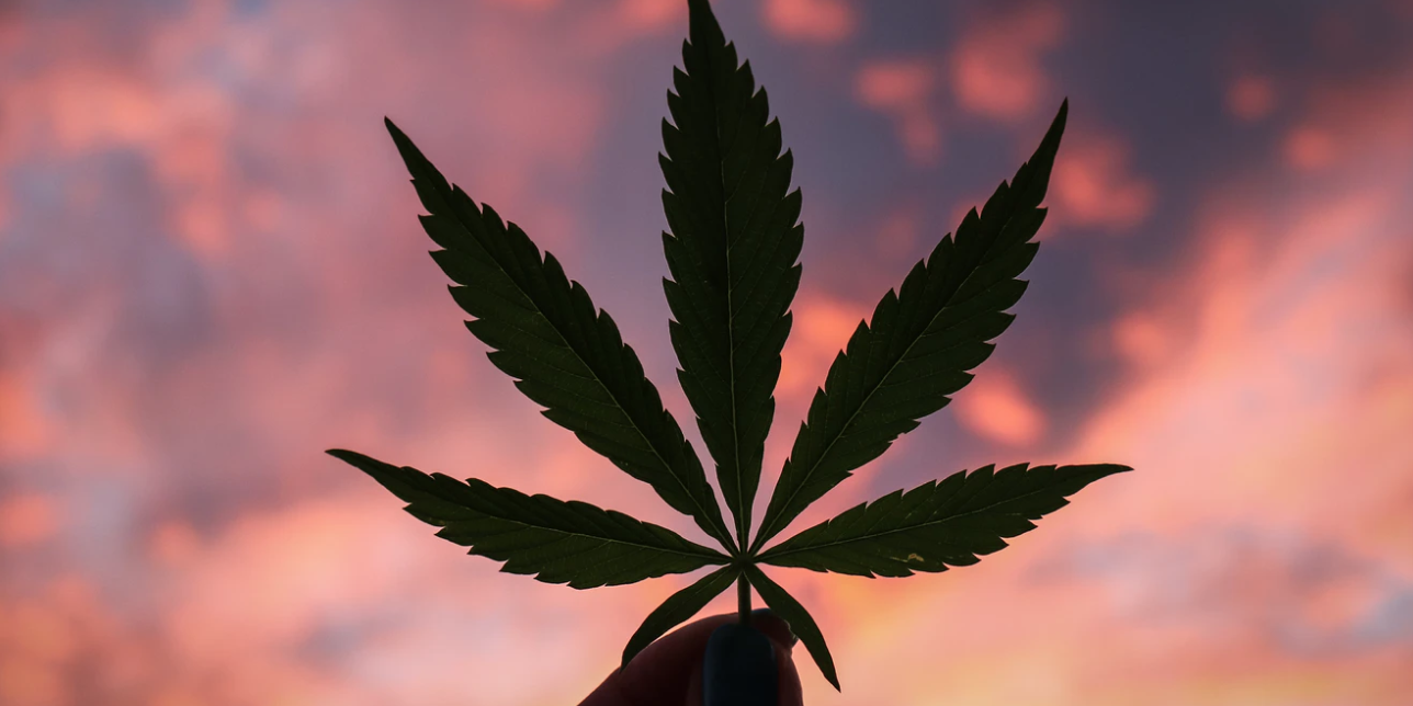 Screenshot 2021-05-11 at 15.33.40