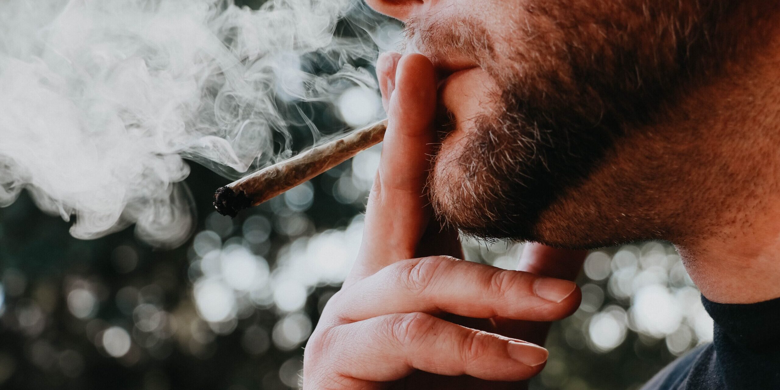 elsa-olofsson-zocDX97pH6k-unsplash