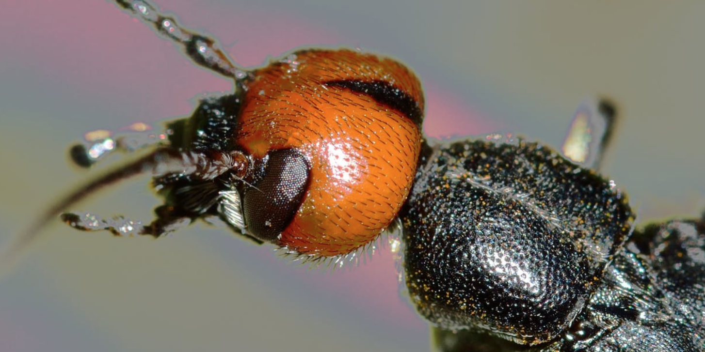 Screenshot 2023-11-20 at 12.55.54